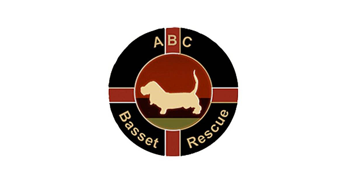 All Bassets Cherished Basset Hound Rescue