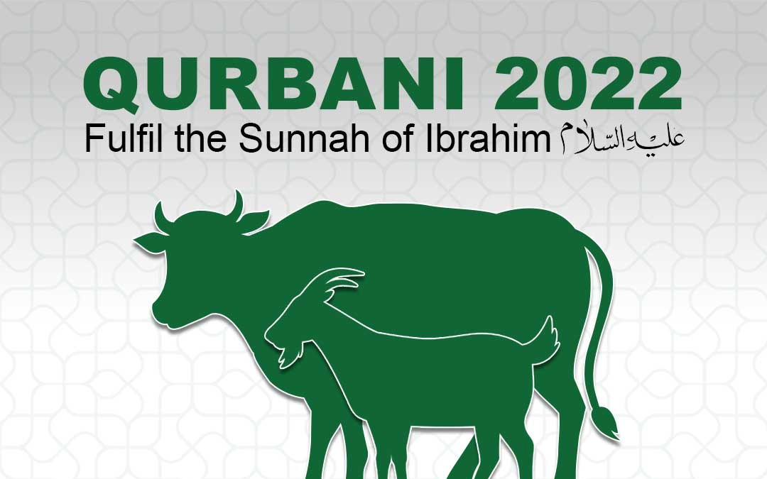 campaign image