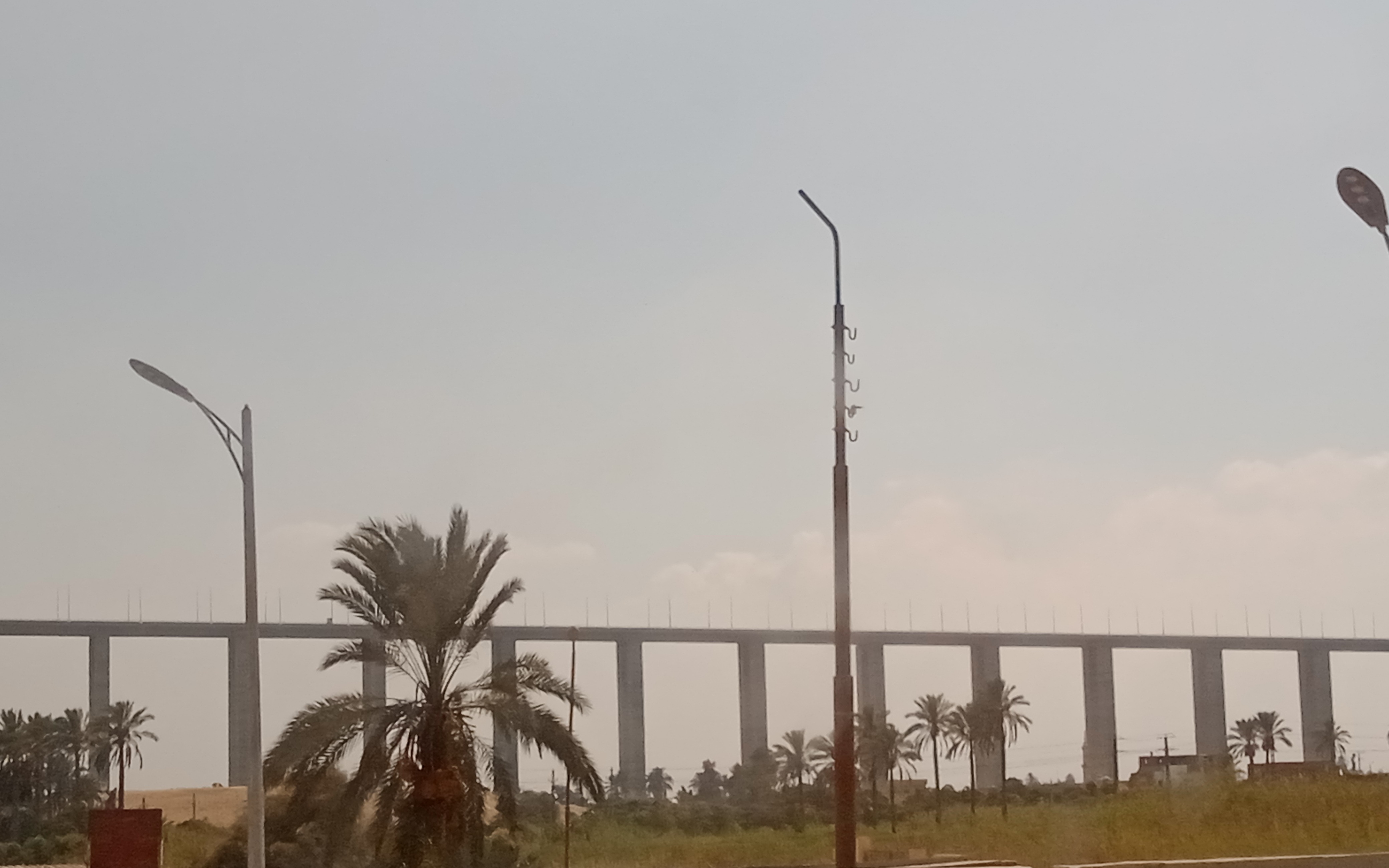 campaign image