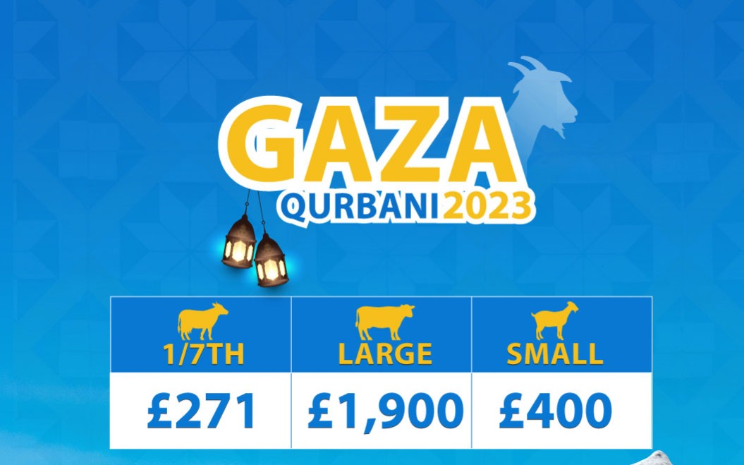 campaign image