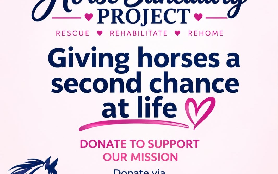 campaign image